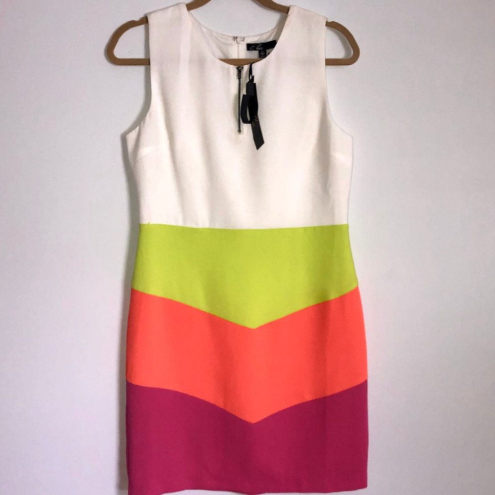 C. Luce Neon Color Block Dress